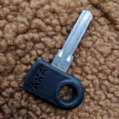 Zwarte (fiets)sleutel, som rapportert til iLost