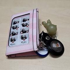 Pénztárca, amint azt Arriva Oost-Brabant az iLost segítségével jelentette.