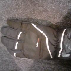 Gloves, as reported by SnowWorld Landgraaf using iLost
