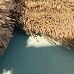 Peluche, come riportato da De Tovertuin utilizzando iLost