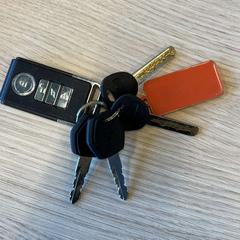 Porte-clés met afstandsbediening voor e-bike, a été signalé par Gemeente Leopoldsburg utilisant iLost