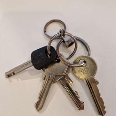 Chaves, como reportado por Gemeente Noordwijk utilizando o iLost