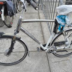 Herenfiets gazelle wit, rapporterat av Stadswerk072 med iLost