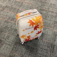 Koffer, gemeldet von Connexxion Amstelland-Meerlanden Schiphol Zuid über iLost