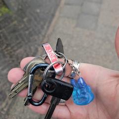 Sleutelbos, como reportado ao iLost