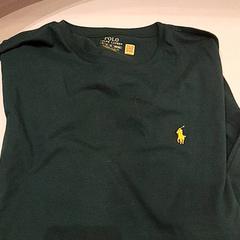 Camisa Green Ralph Lauren tshirt, ha sido reportado por Van der Valk Hotel Schiphol con iLost