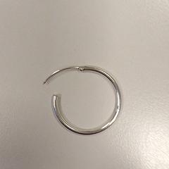 Ohrring Zilver, gemeldet von Vrije Universiteit Amsterdam über iLost