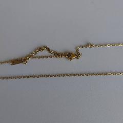 Collar Goudkleurig, ha sido reportado por Zuyderland MC Heerlen con iLost