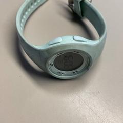 Wristwatch Mint, as reported by Burgers' Zoo using iLost