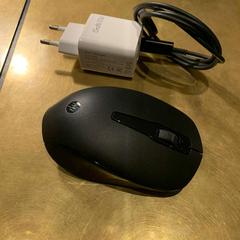 Egér, amint azt Van der Valk Hotel Amsterdam-Amstel az iLost segítségével jelentette.