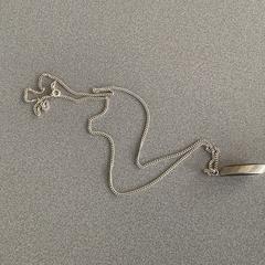 ネックレス がiLostで Breng Arnhem によって報告されました