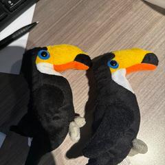 Knuffel, segons ha informat Van der Valk Hotel Haarlem mitjançant iLost