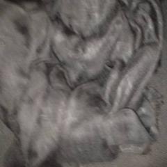 Šátek, jak nahlášeno TivoliVredenburg pomocí iLost