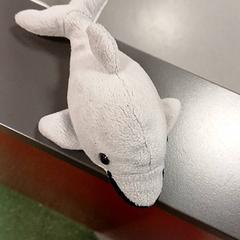 Plyšová hračka Gris, ako bolo nahlásené IKEA Strasbourg pomocou iLost