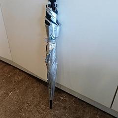 傘 Zilver/zwart がiLostで Qbuzz GD Groningen HS によって報告されました