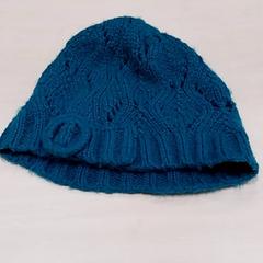 Beanie Blauw groen, som rapportert av Arriva Limburg Zuid ved bruk av iLost