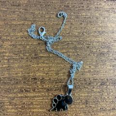 Halsband, rapporterat av Pathé Leeuwarden med iLost