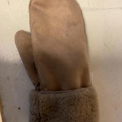 Kesztyű Bruin met bont, amint azt Artis az iLost segítségével jelentette.