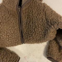 Jacket Bruin, as reported by Artis using iLost