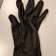 Rukavice, jak nahlášeno Vrije Universiteit Amsterdam pomocí iLost