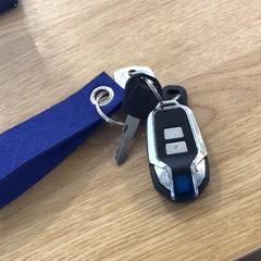 Bilnøkkel, som rapportert av Gemeente Alkmaar ved bruk av iLost