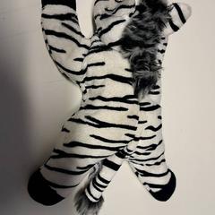 Kosete leke Zebra, som rapportert av St. Antonius Ziekenhuis Nieuwegein ved bruk av iLost
