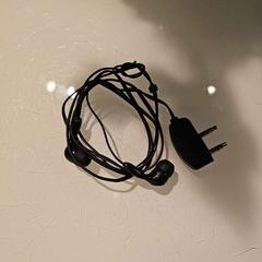 귀 플러그, iLost를 사용하여 Room Mate Bruno에 보고됨