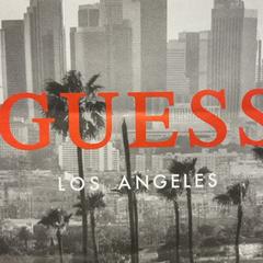 Purchase guess, zoals gemeld door Designer Outlet Roermond met iLost