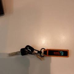 İLost kullanarak LUMC tarafından bildirildiği gibi Bisiklet anahtarı