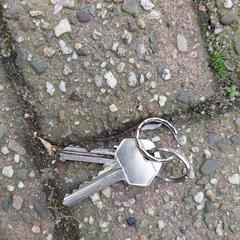 2 sleutels, como reportado ao iLost