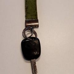 Chiave, come riportato da Qbuzz ZHN utilizzando iLost