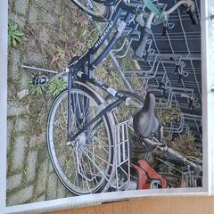 Women’s bike, as reported by Gemeente Roermond using iLost