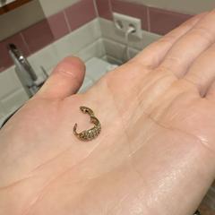 Gouden oorbel, iLost에 보고됨