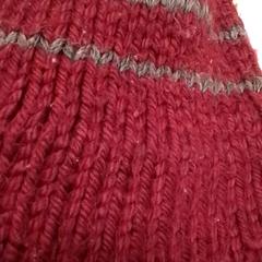 Beanie, amint azt Qbuzz Fryslân az iLost segítségével jelentette.