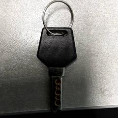 İLost kullanarak Arriva Friesland / Groningen tarafından bildirildiği gibi Anahtar Zwart