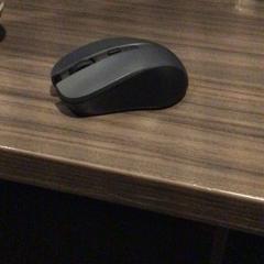 Rato, como reportado por Van der Valk Hotel Zwolle utilizando o iLost