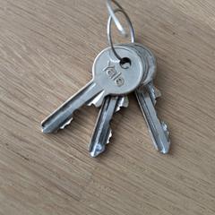 Bos sleutels, gerapporteerd met iLost