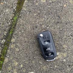 Seat autosleutel, som rapporterats till iLost