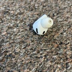 Ecouteur, a été signalé par Burgers' Zoo utilisant iLost