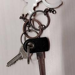 Clau, segons ha informat Arriva Limburg Zuid mitjançant iLost