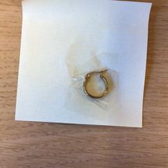 Náušnice goudkleurig, jak nahlášeno Canisius-Wilhelmina Ziekenhuis pomocí iLost