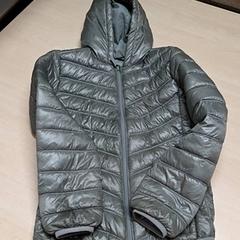 Jacka, rapporterat av Arriva Oost-Brabant med iLost