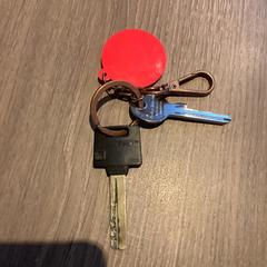 Chiavi, come riportato da Gemeente Amsterdam utilizzando iLost