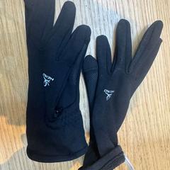 Handskar zwart, rapporterat av Rijksmuseum van Oudheden med iLost