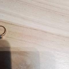 Anillos, ha sido reportado por Beekse Bergen Resorts en Hotel con iLost