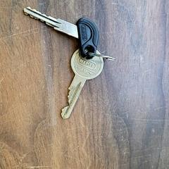 Klucze, zgłoszono przez Connexxion Haarlem IJmond przy użyciu iLost