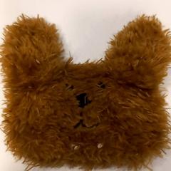 Leksak, rapporterat av Arriva Limburg Noord med iLost