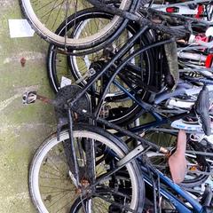 Zwarte opoefiets, segons ha informat Stadswerk072 mitjançant iLost