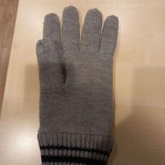 Handschoen, ako bolo nahlásené Arriva Limburg Zuid pomocou iLost