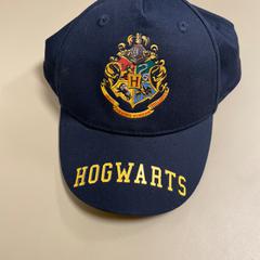 Harry potter pet がiLostで Pathé Schiedam によって報告されました